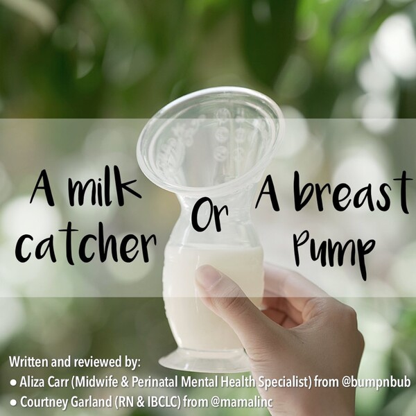 Facts about the Haakaa Breast Pump